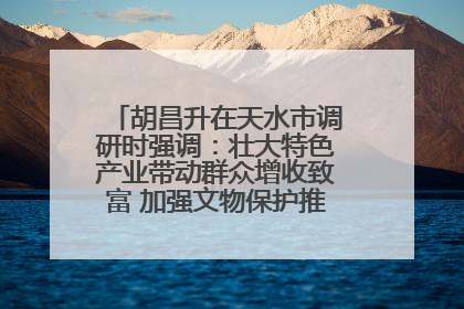 胡昌升在天水市调研时强调：壮大特色产业带动群众增收致富 加强文物保护推动文化创新发展